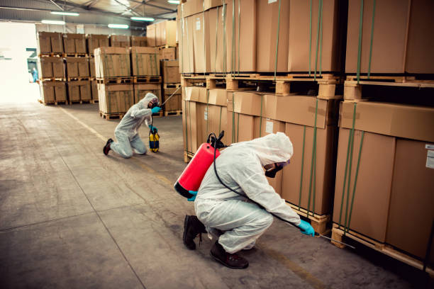 Best Affordable Pest Control Services  in Laurens, SC