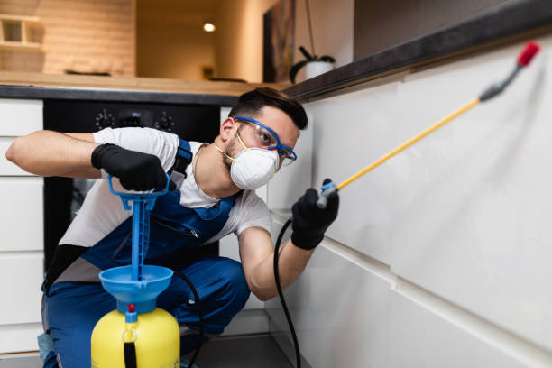 Best Flea Control Services  in Laurens, SC