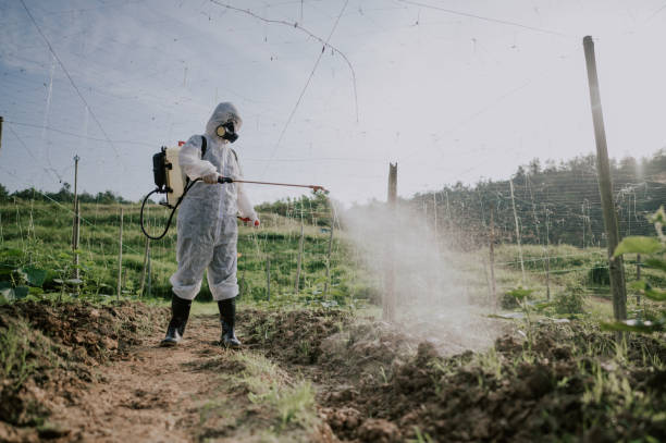 Best Local Pest Control Services  in Laurens, SC