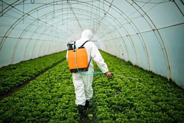 Best Pest Prevention Services  in Laurens, SC