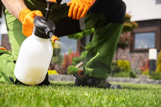 Best Pest Control Near Me  in Laurens, SC