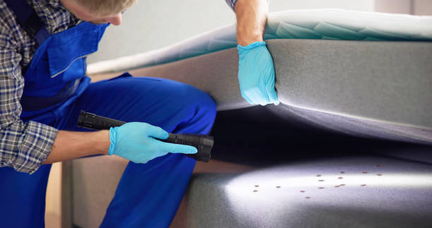 Best Pest Removal Services  in Laurens, SC