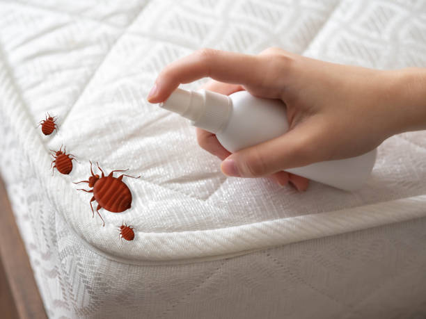 Best Residential Pest Control  in Laurens, SC