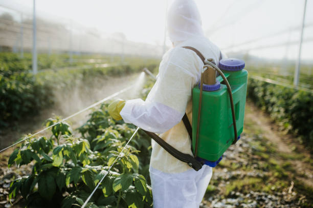 Best Bed Bug Extermination  in Laurens, SC